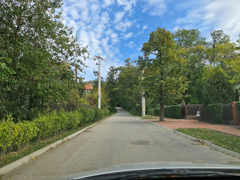 Spre Vila Florica