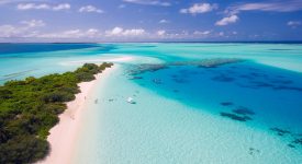 Maldive Revelion