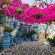 Paros