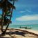 Saona