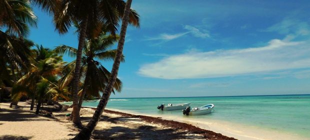 Saona