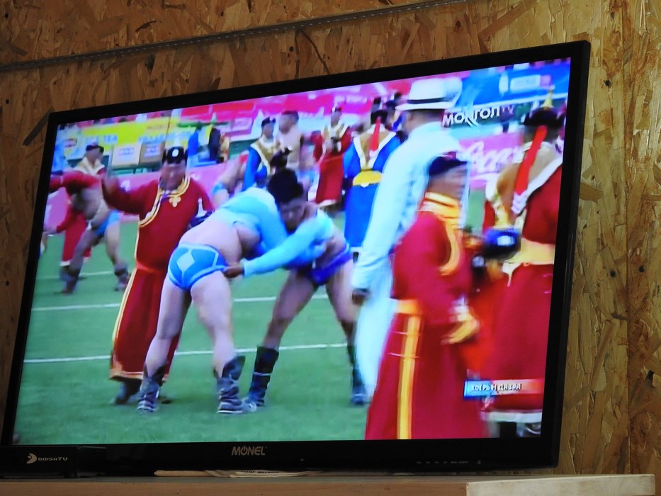 Lupte la TV