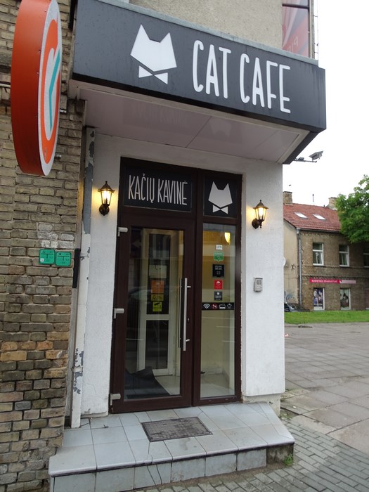Cat cafe Vilnius