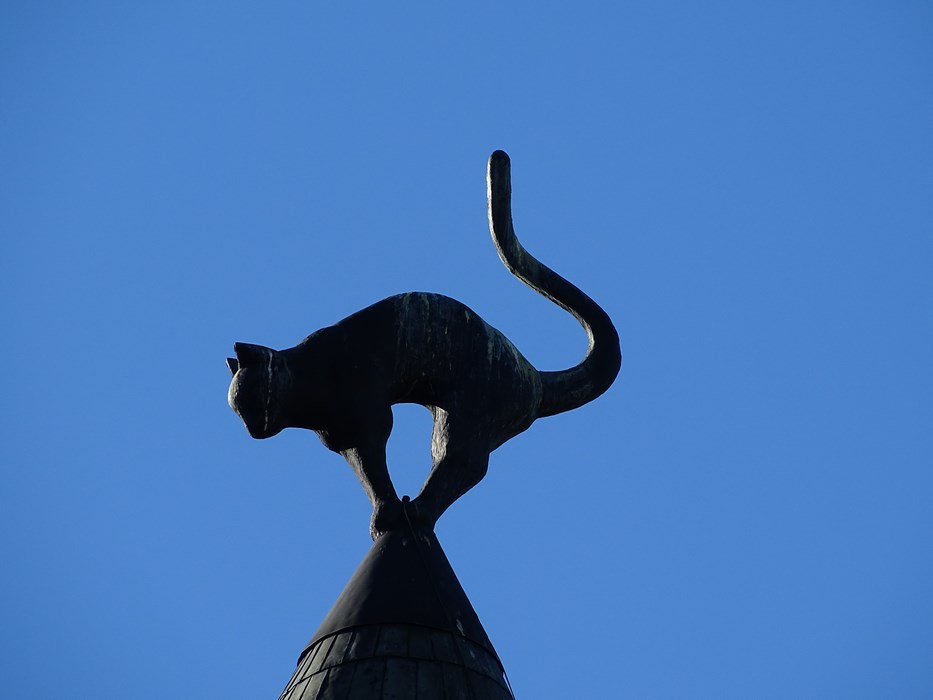 Pisica din Riga