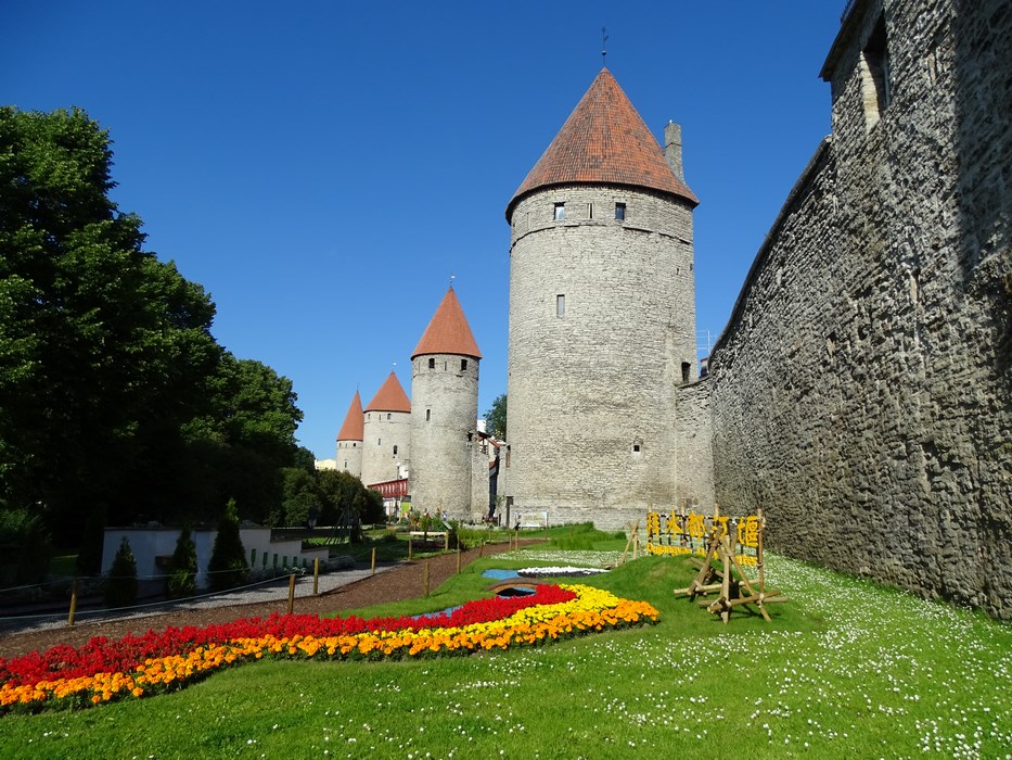 Ziduri cetate Tallinn
