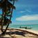 Saona