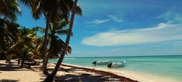 Saona