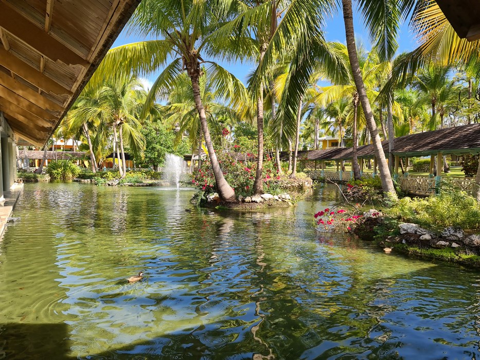 Iberostar Selections Bavaro