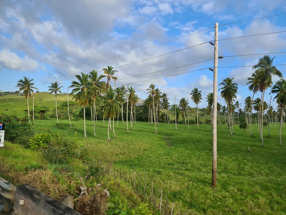 Camp in Republica Dominicana