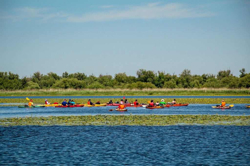 . Activități în Delta Dunării