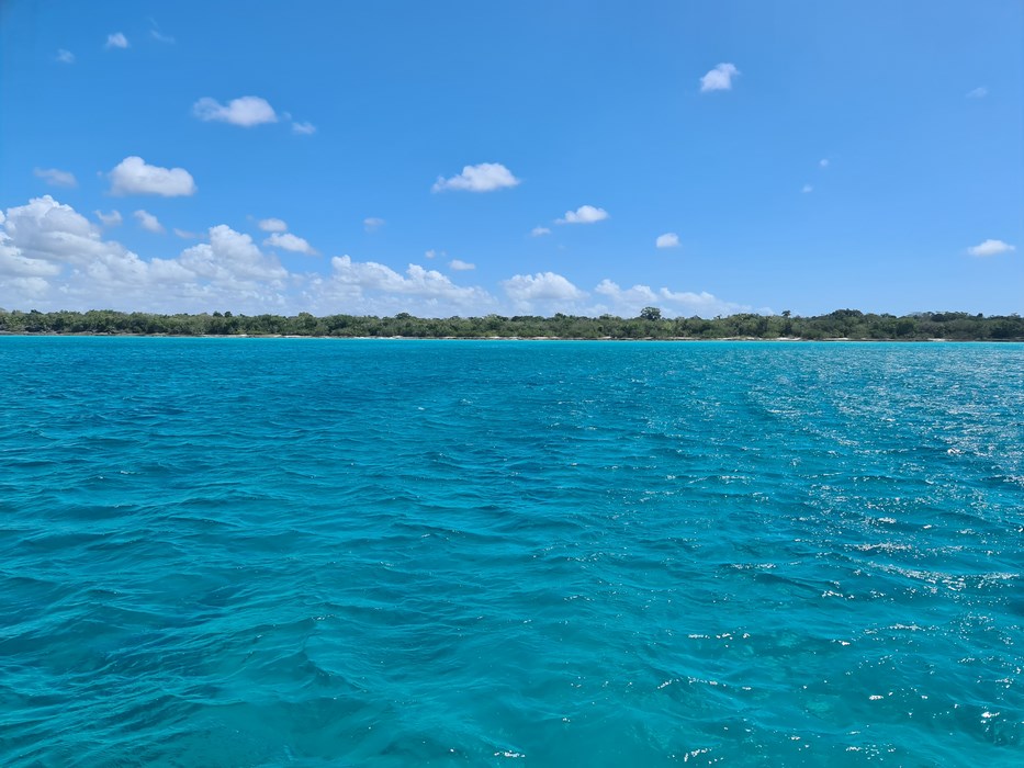 Spre Saona