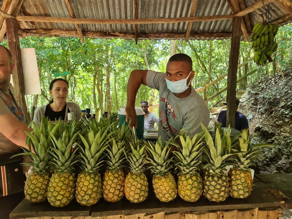 Pina Colada Republica Dominicana