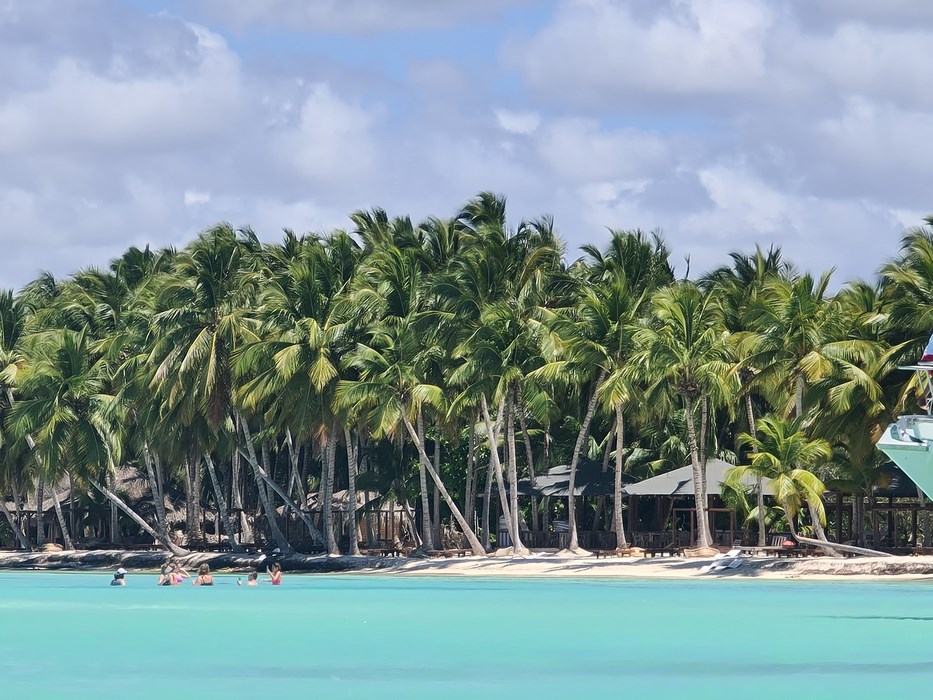 Saona