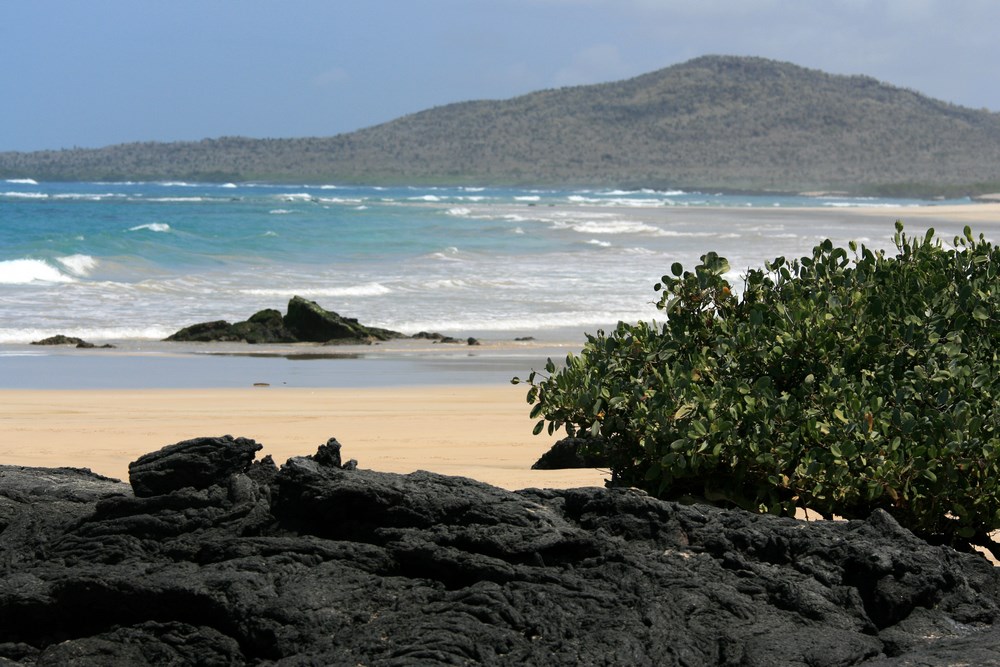 Insula Isabela