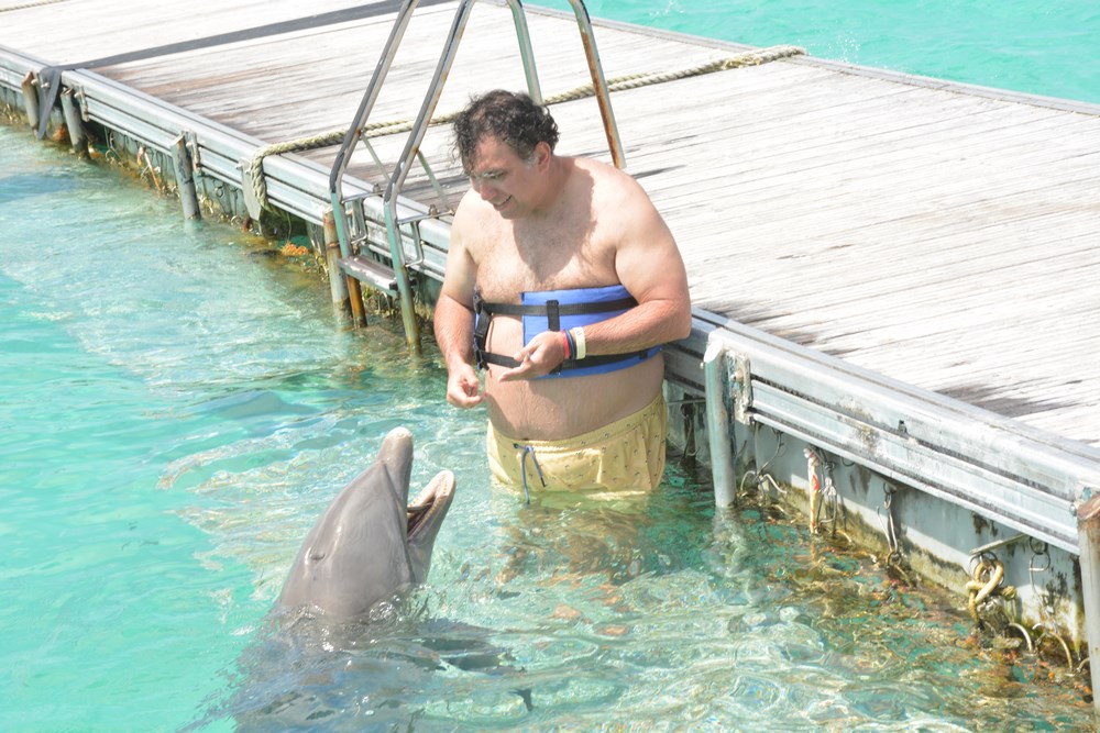 Dolphin Island