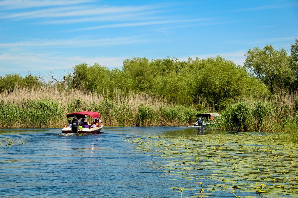 . Inapoi pe canale