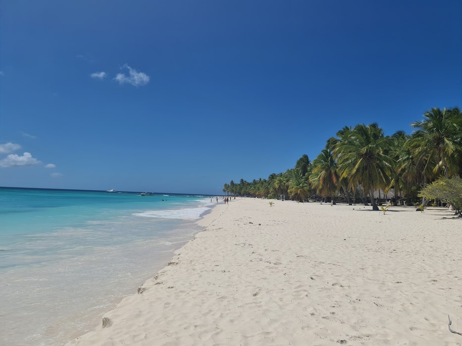 Plaja alba Saona
