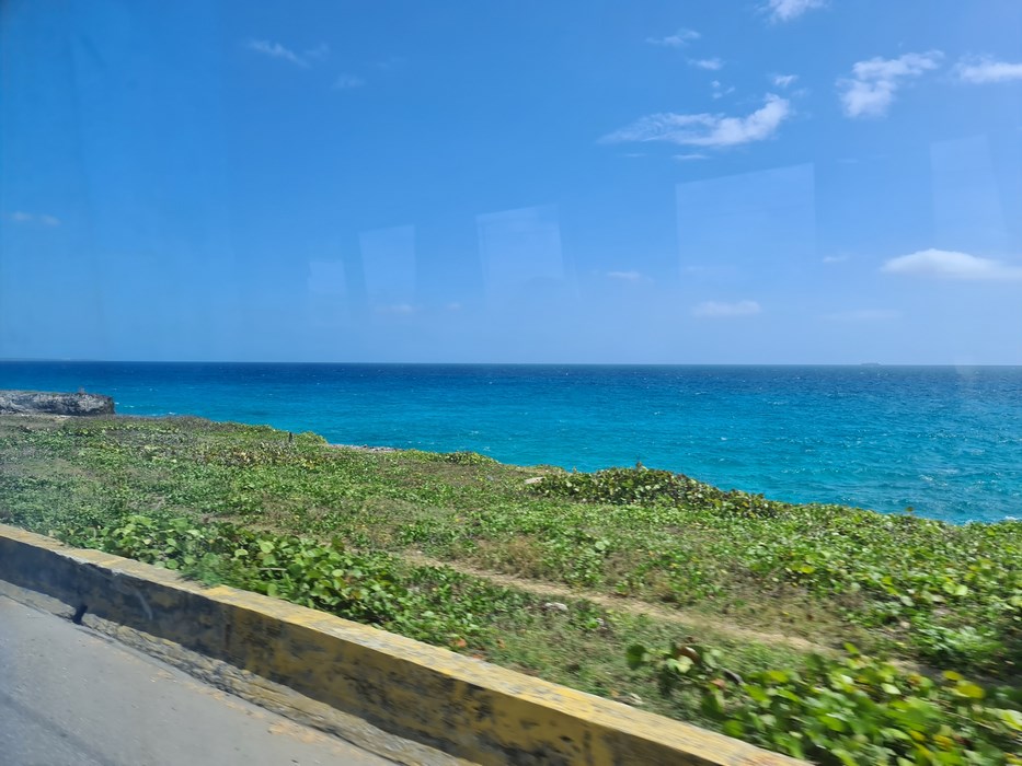 Caraibe