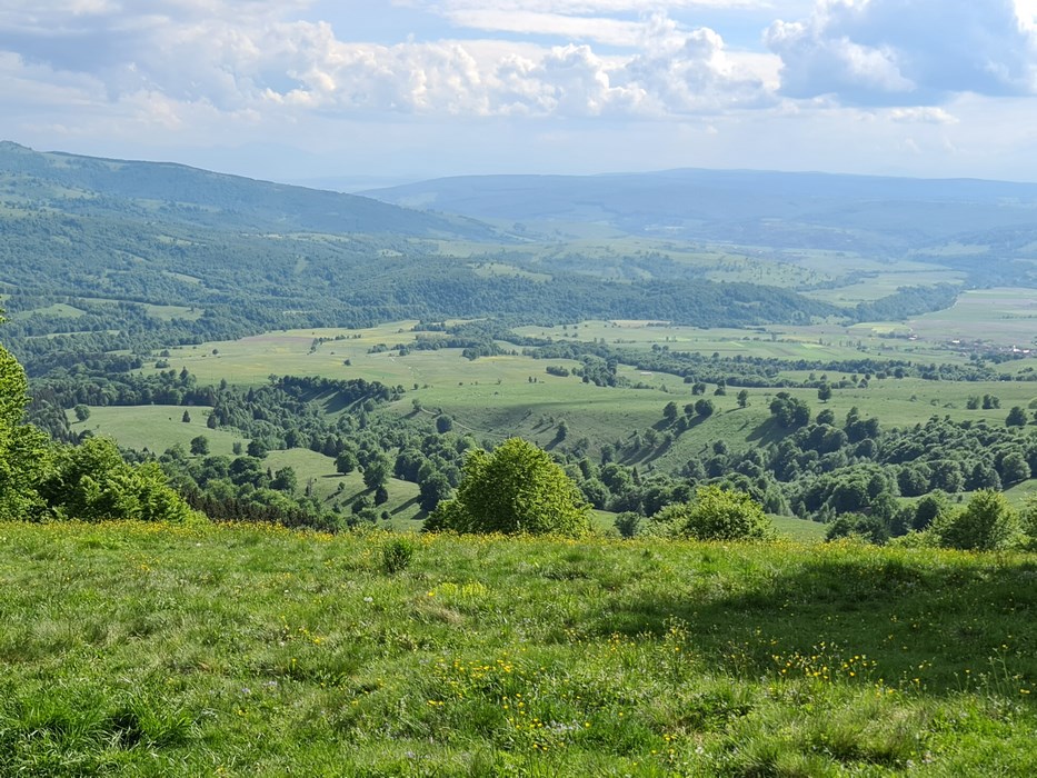 Panorama Harghita