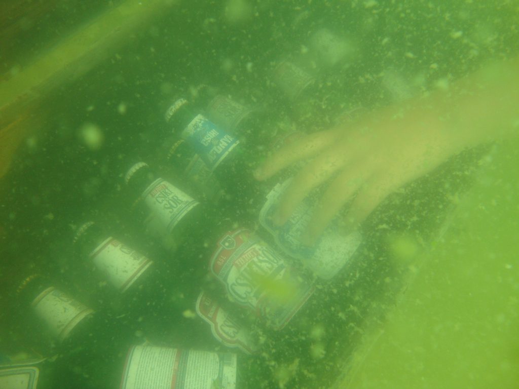 Bar bere subacvatic My Lake