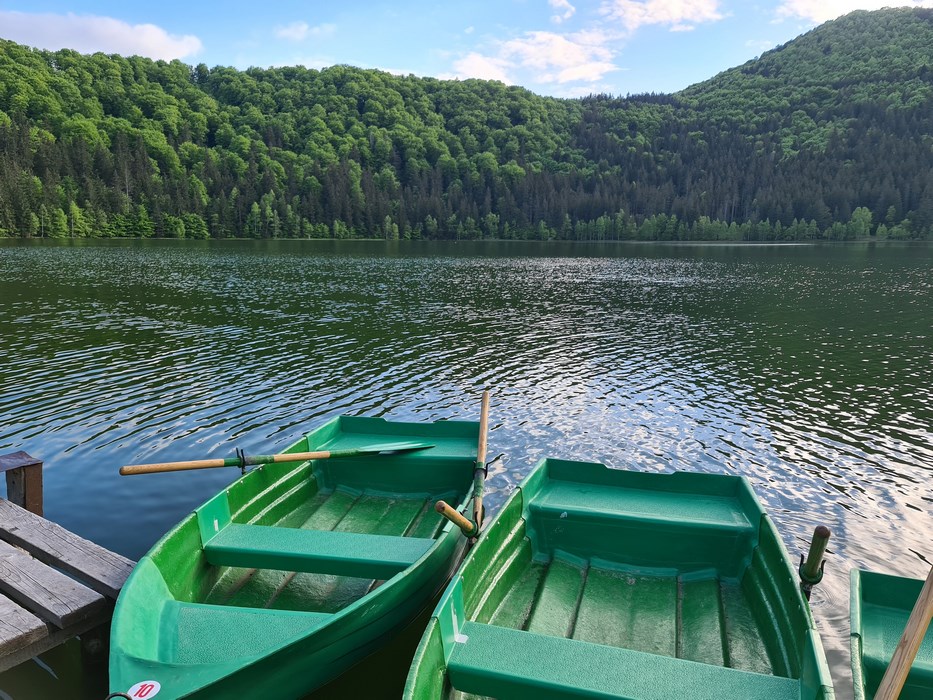 Barci Sfanta Ana