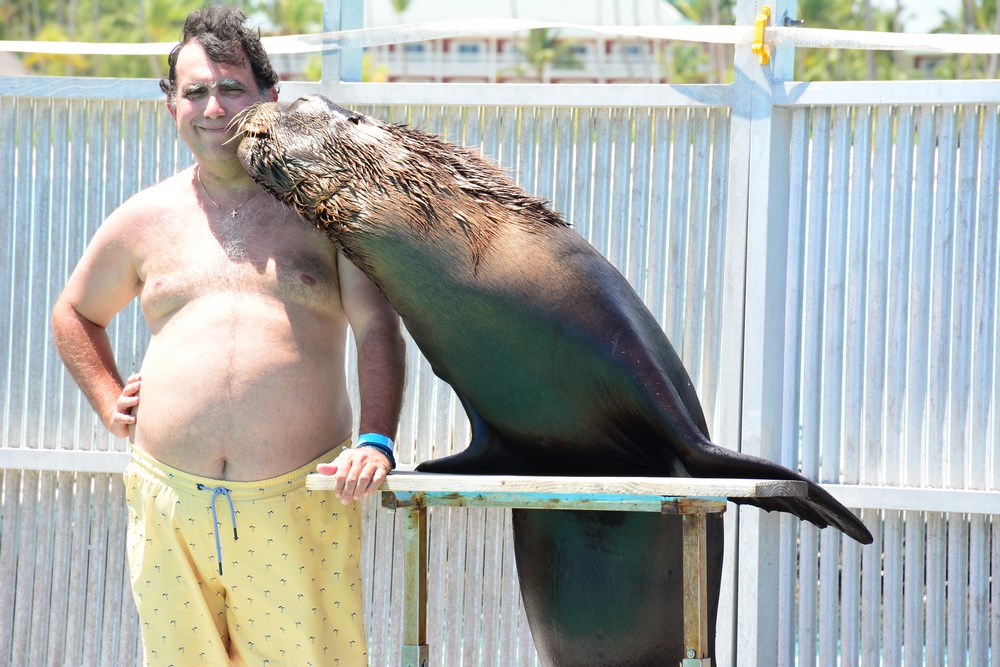 Leu de mare ma pupa