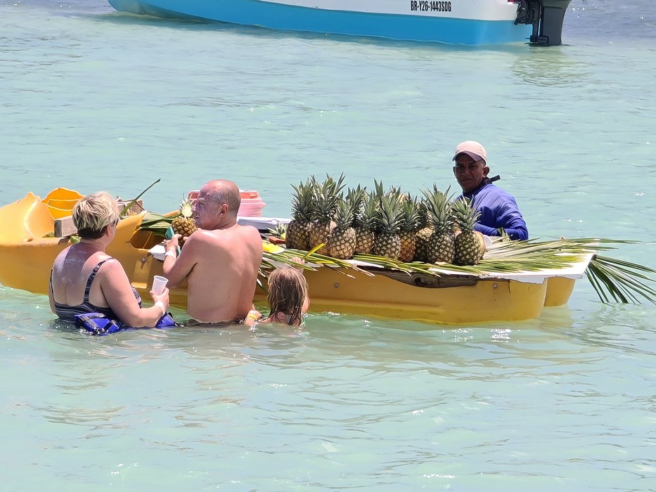 Ananas