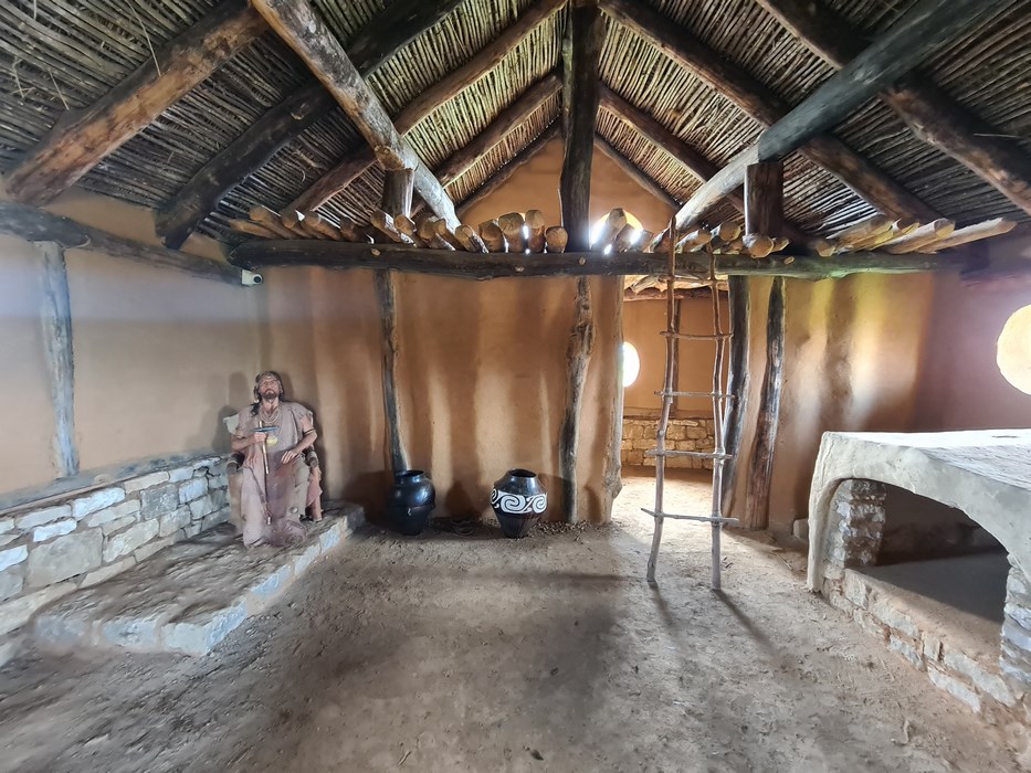 Interior casa sef trib trac