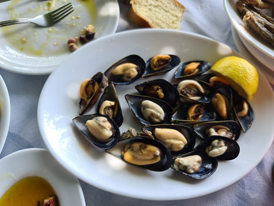 Scoici Samothraki