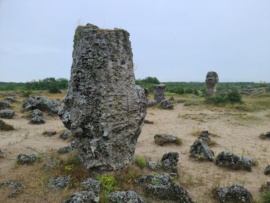 Padurea de piatra