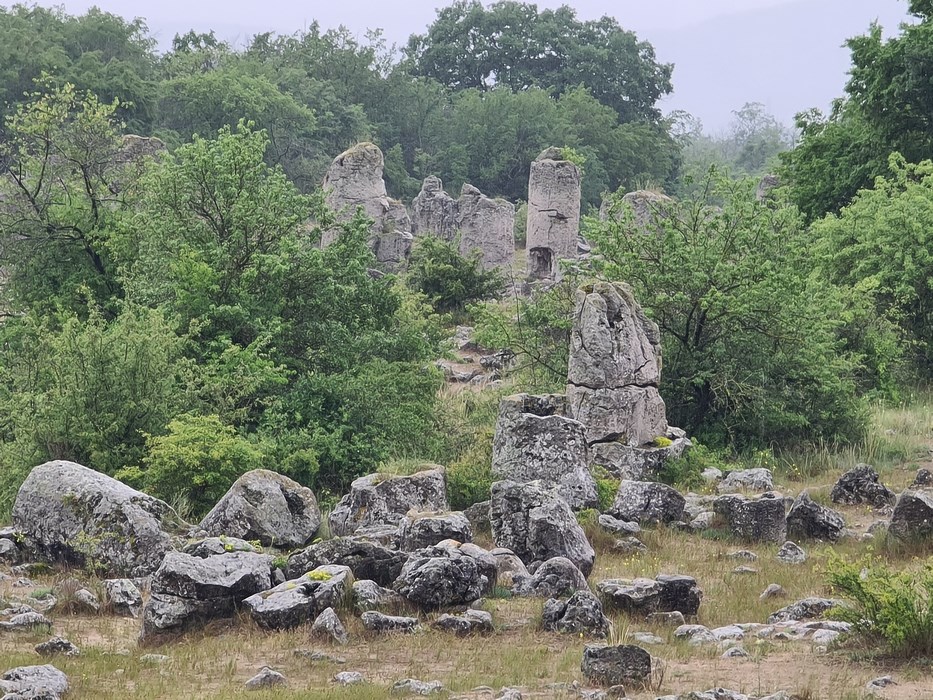 Padurea de piatra Varna