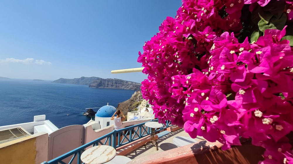 Flori in Santorini