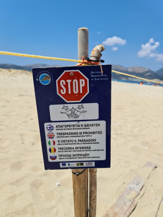 Protectie testoase Zakynthos