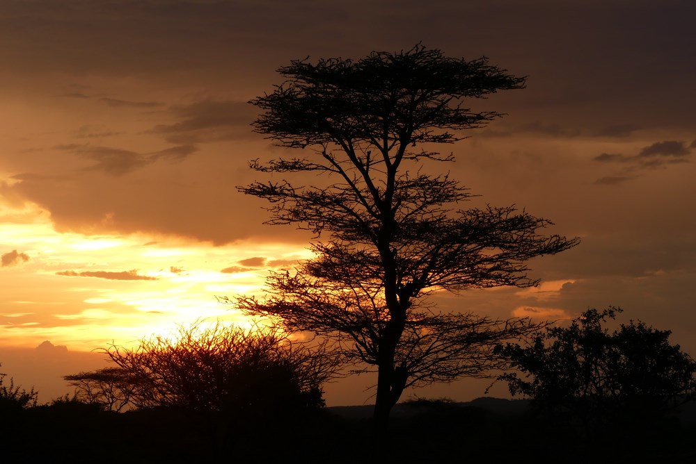 Apus de soare Africa