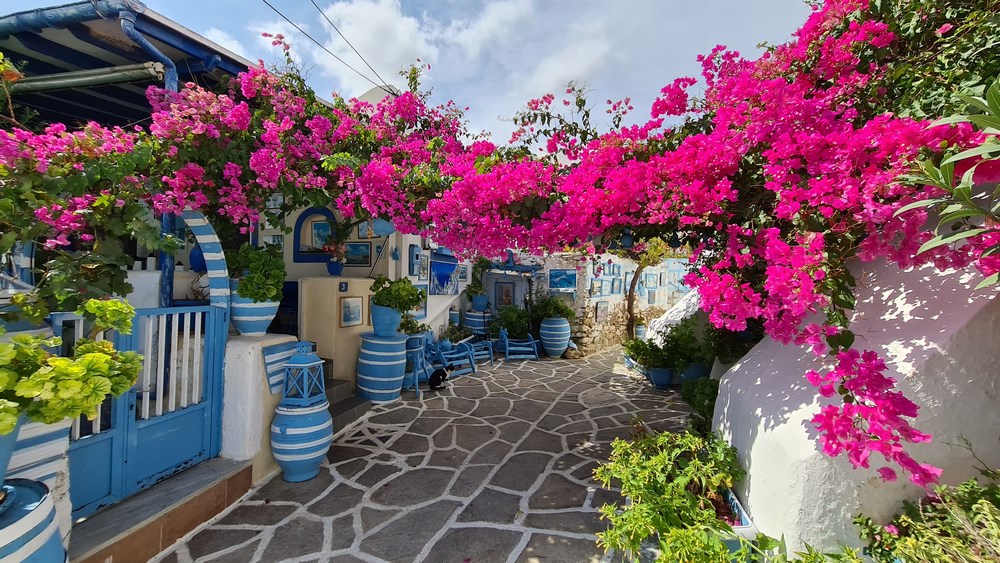 Casa Prodromos