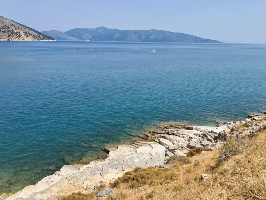 Coasta estica