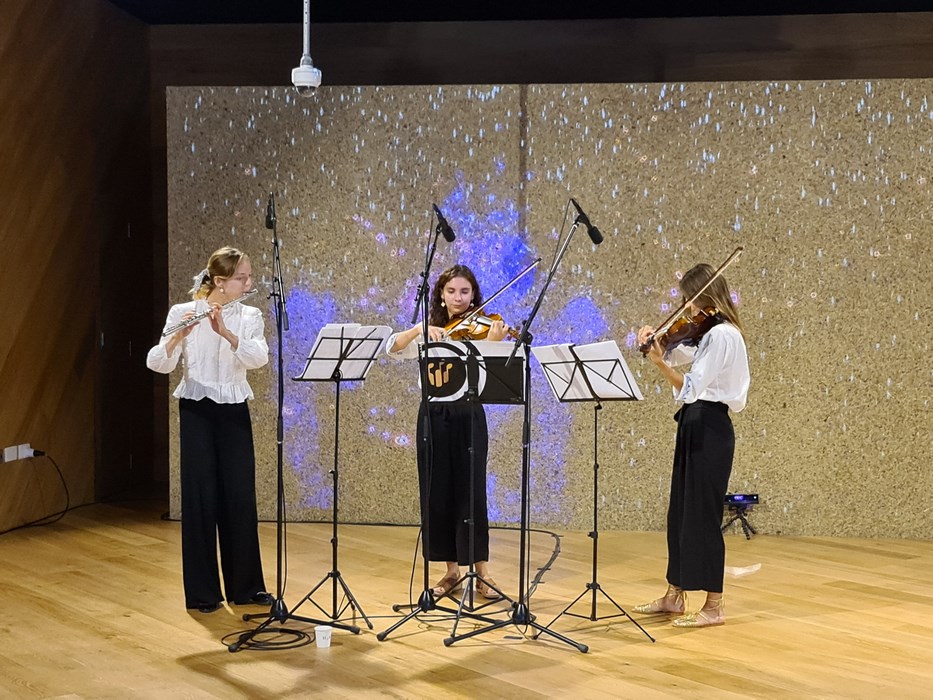 Concert Romania EXPO