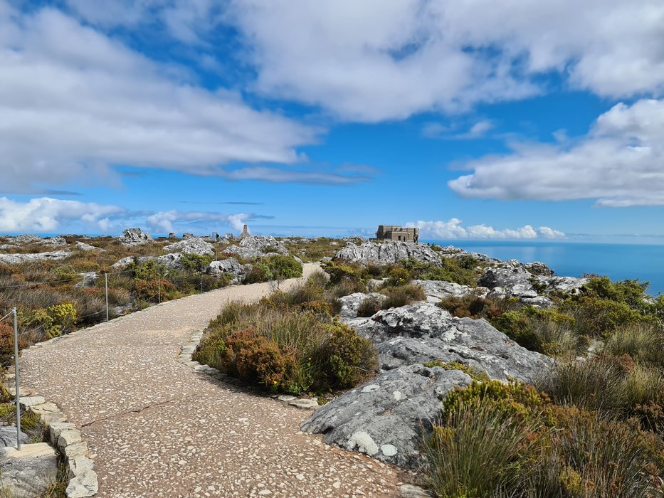 Varful lui Table Mountain