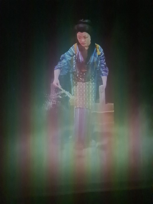 Femeie Japonia