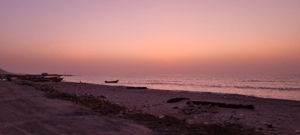 Apus in Socotra