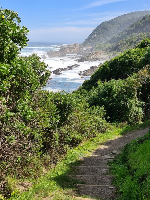 Spre cascada