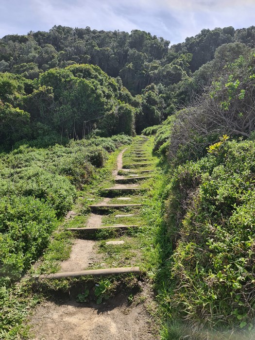 Waterfall trail