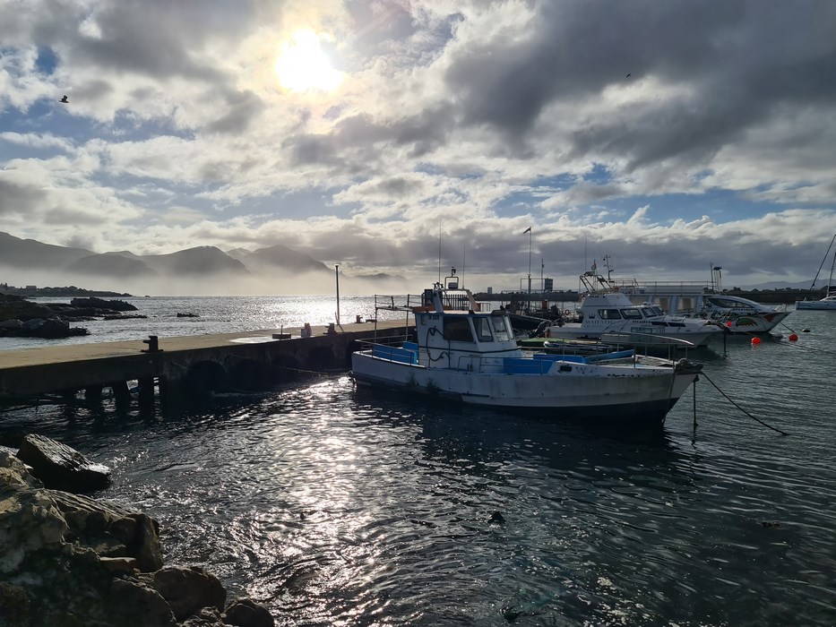 Hermanus port