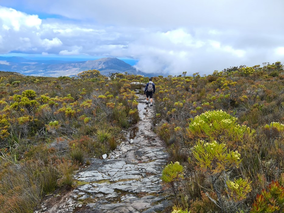 Table Mountain path