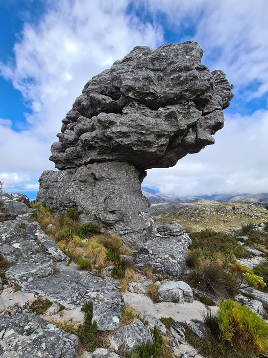Formatiune geologica