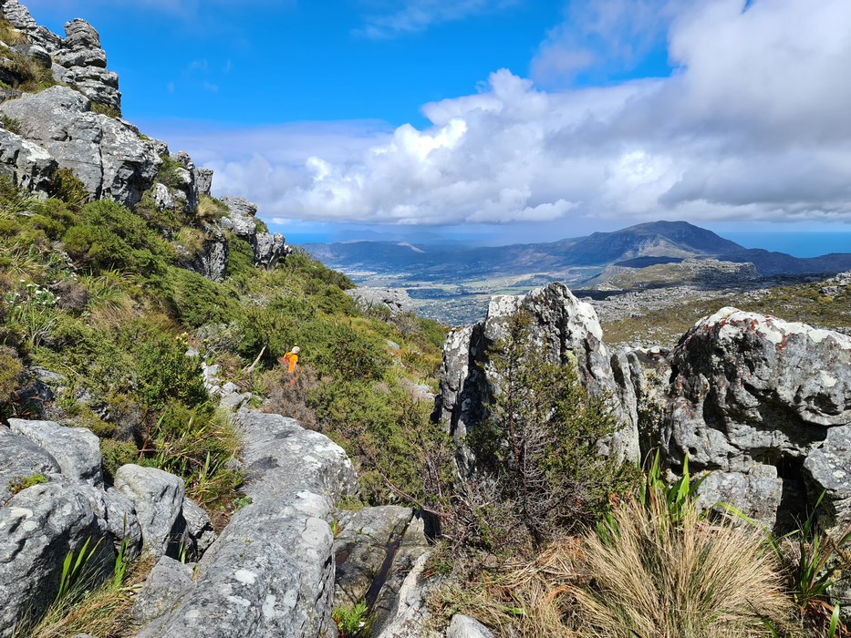 Table Mountain stones