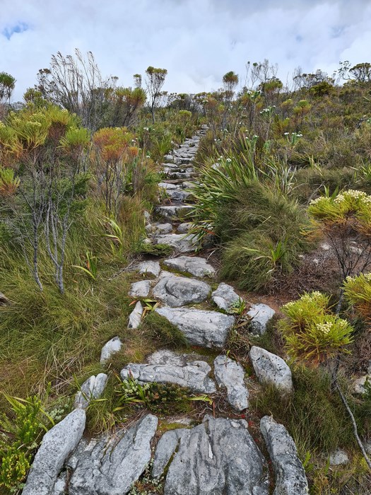 Table Mountain trekking