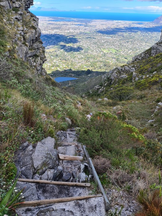 Nursery Ravine Table Mountain