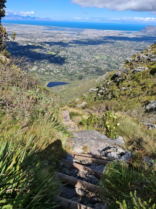 Nursery Ravine Cape Town