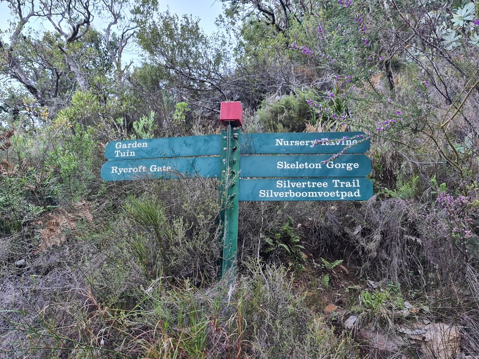Indicatoare Table Mountain